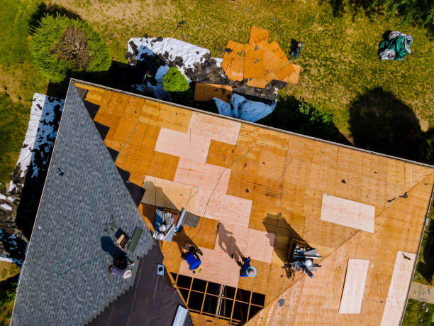 Best Flat Roof Repair Services  in Security Widefield, CO